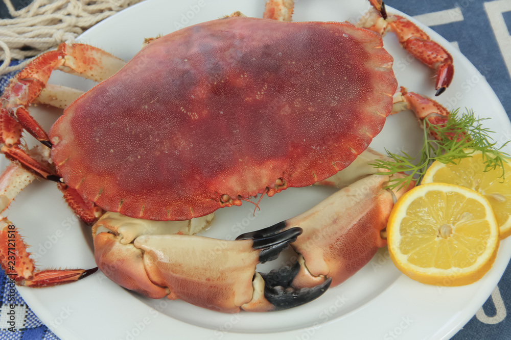 crab on a plate crab on a plate