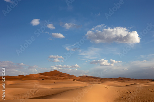 Beautiful sand dunes under dramatic sky at drought desert landscape © Tjeerd