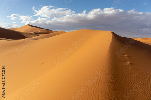 Beautiful sand dunes in the Sahara desert  Morocco