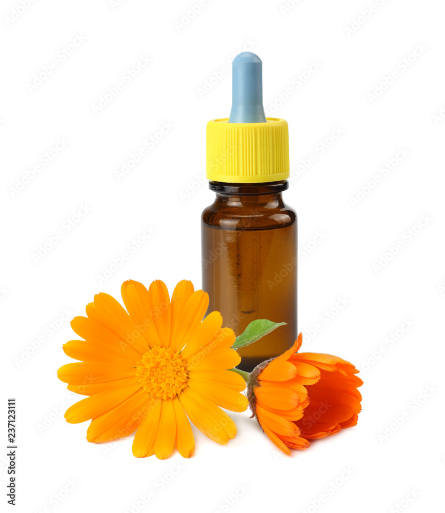 bottle with marigold oil with marigold flowers isolated on white background. calendula flower. bottle with marigold oil with marigold flowers isolated on white background. calendula flower.