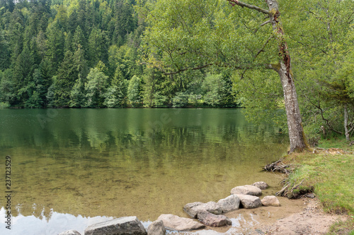 Longemer lake  at the Vosges mountains in France. photo