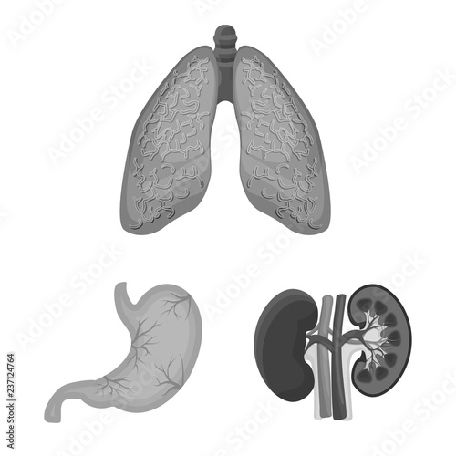 Vector design of body and human logo. Set of body and medical stock symbol for web.