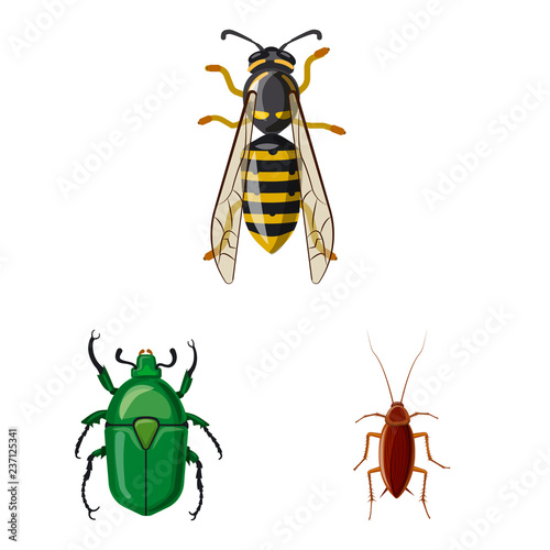 Isolated object of insect and fly logo. Set of insect and element stock vector illustration.