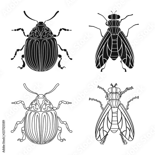 Vector design of insect and fly icon. Set of insect and element stock vector illustration.