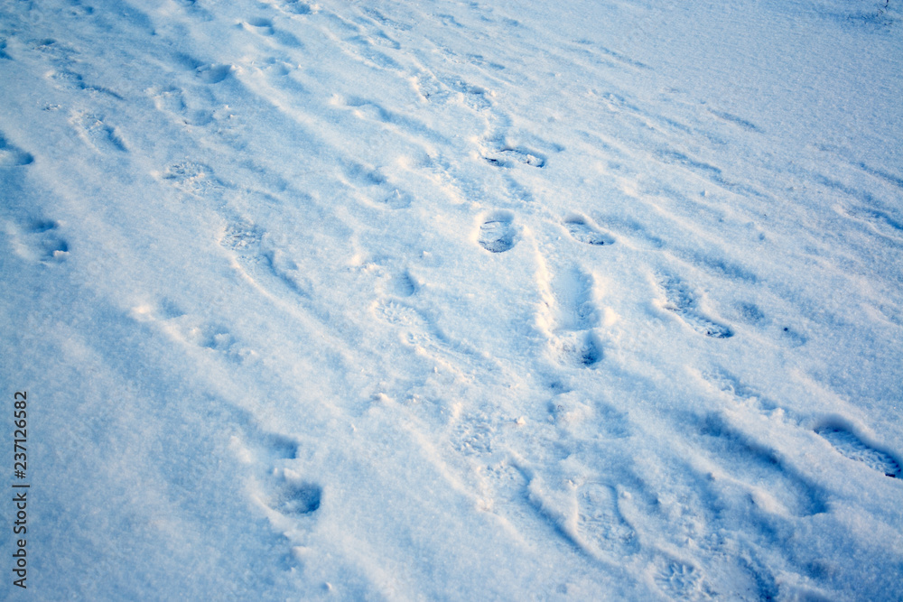 Footprints on snow Footprints on snow