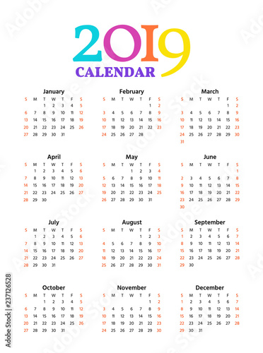 2019 Calendar. Vector. Week starts Sunday in minimal simple style. Stationery 2019 year vertical pocket template. Yearly calendar organizer. Portrait orientation, english. Colorful illustration.