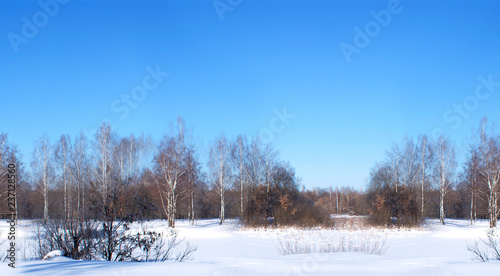 landscape winter nature