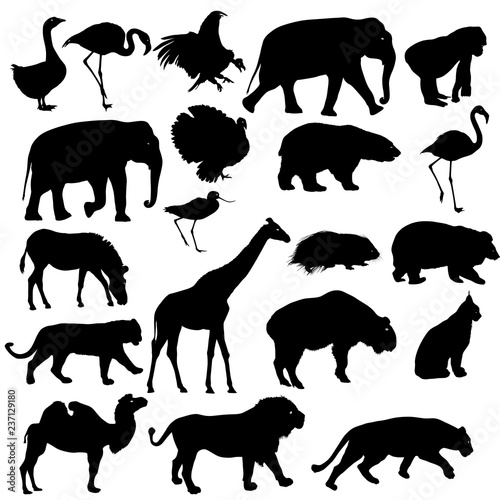 Silhouette elephant bear eagle trot duck zebra on a white background