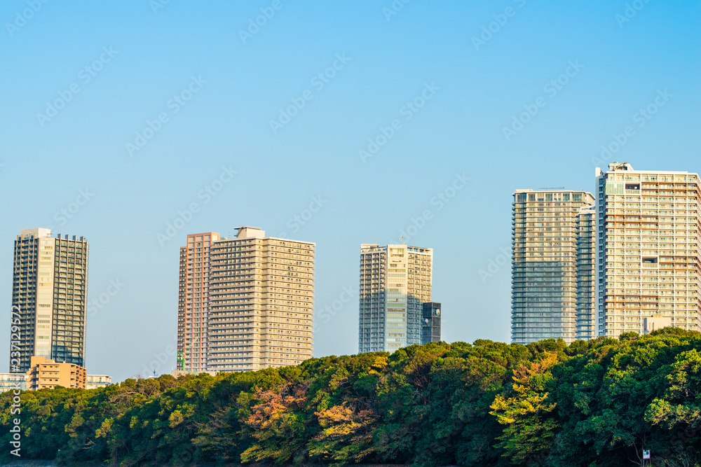 不動産イメージ High-rise condominium in Tokyo 不動産イメージ High-rise condominium in Tokyo