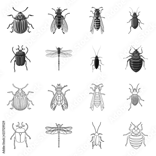 Vector illustration of insect and fly logo. Collection of insect and element stock vector illustration.