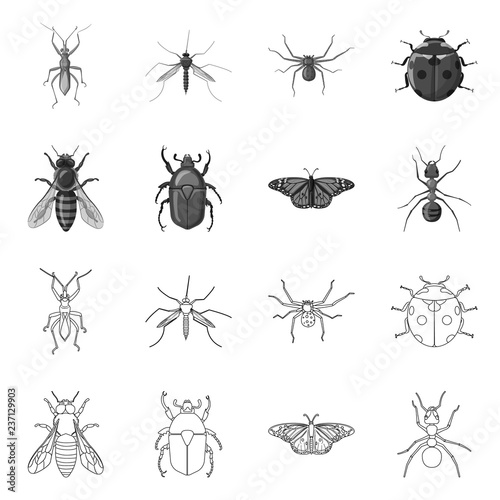 Vector illustration of insect and fly symbol. Set of insect and element stock symbol for web. © Svitlana