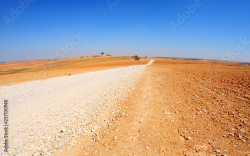Dirt road in Southern Israel.