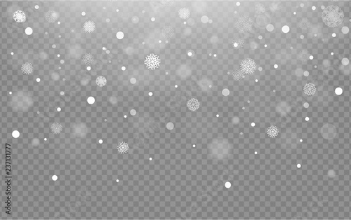 Seamless background with falling snow or snowflakes on transparent background  vector snow 