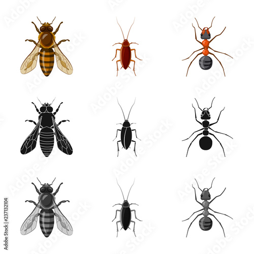 Vector design of insect and fly symbol. Set of insect and element stock vector illustration.