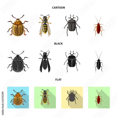 Isolated object of insect and fly icon. Collection of insect and element stock vector illustration.