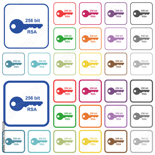 256 bit rsa encryption outlined flat color icons