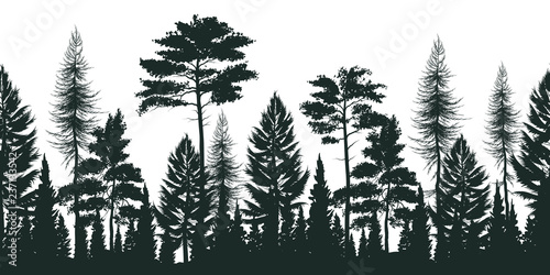 Silhouette Of Pine Forest Illustration