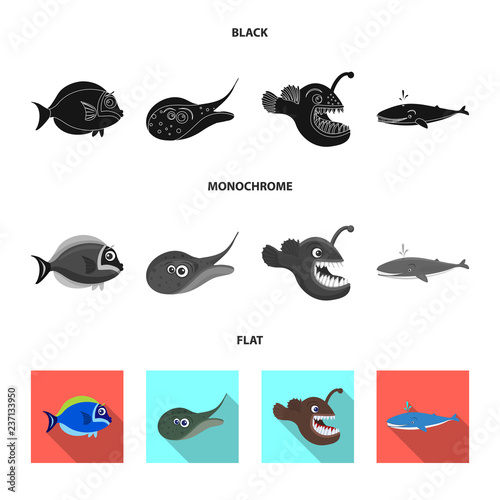 Isolated object of sea and animal icon. Collection of sea and marine stock vector illustration.