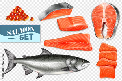 Realistic Salmon Set