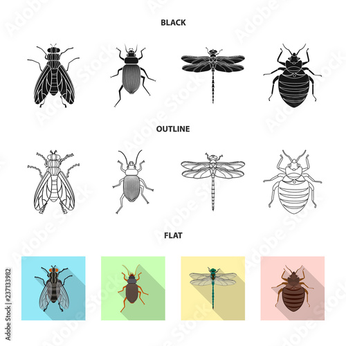 Isolated object of insect and fly icon. Collection of insect and element stock vector illustration. © Svitlana