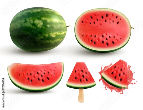Watermelon Realistic Set