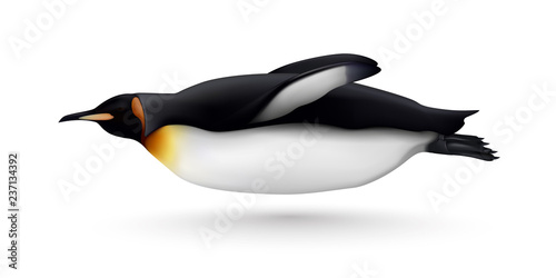 Swimming Penguin Realistic Isolated