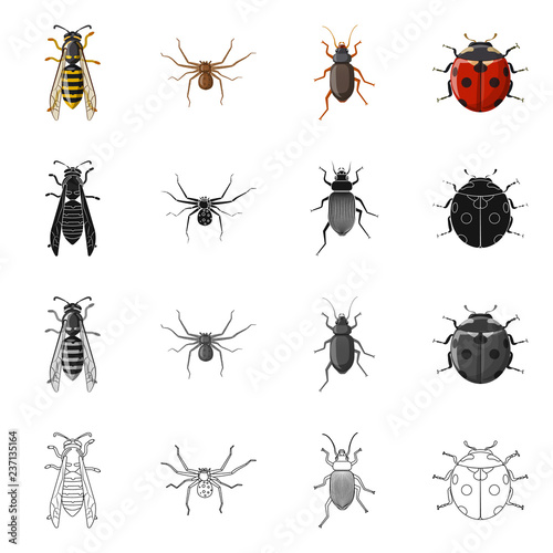 Vector illustration of insect and fly logo. Collection of insect and element vector icon for stock. © Svitlana