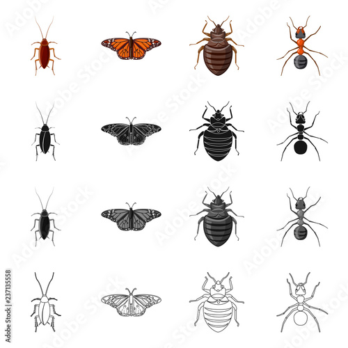 Vector illustration of insect and fly logo. Set of insect and element vector icon for stock. © Svitlana