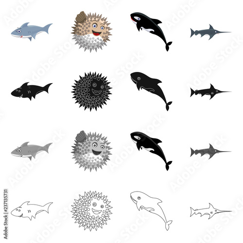 Vector illustration of sea and animal symbol. Collection of sea and marine stock vector illustration.