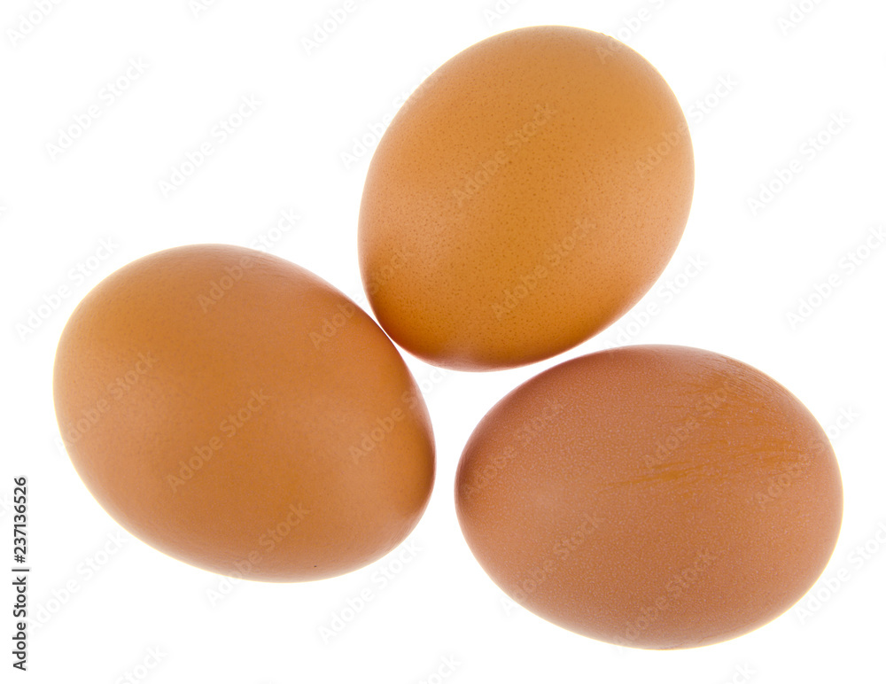 chicken eggs isolated on white background chicken eggs isolated on white background