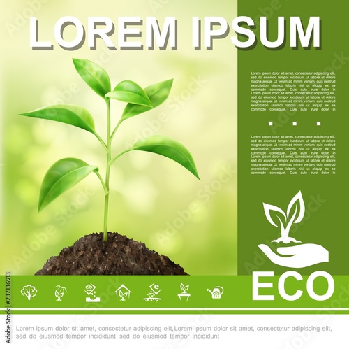 Realistic Ecological And Natural Template