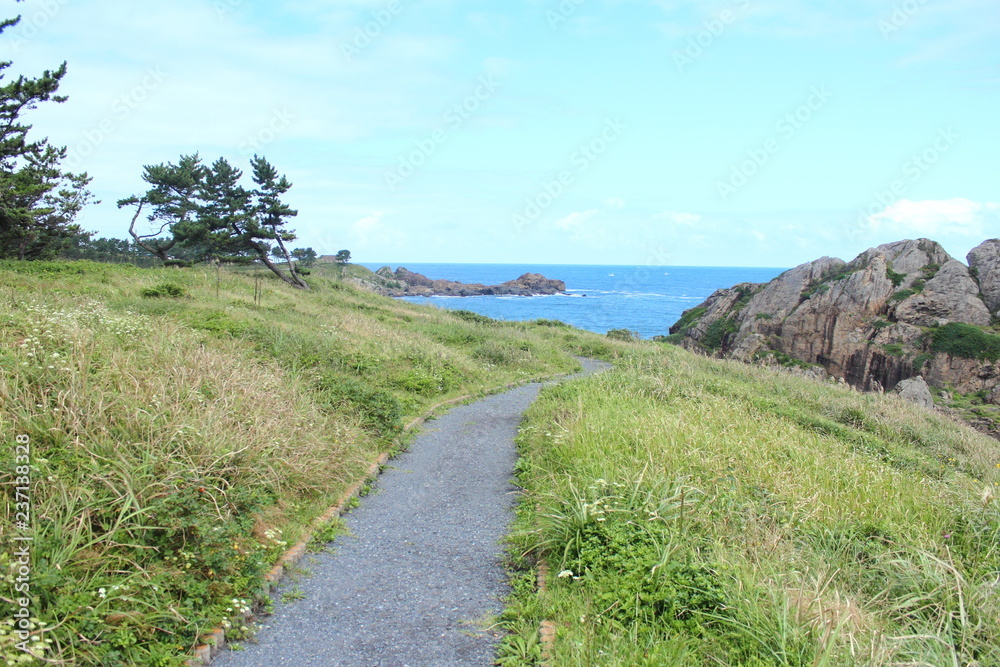 種差海岸 遊歩道 種差海岸 遊歩道