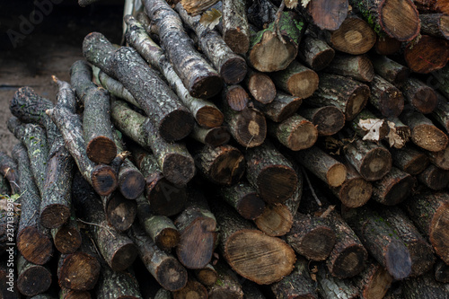 winter wood