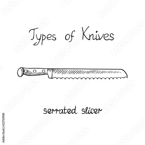 Knife types, slicer serrated, vector outline illustration with inscription
