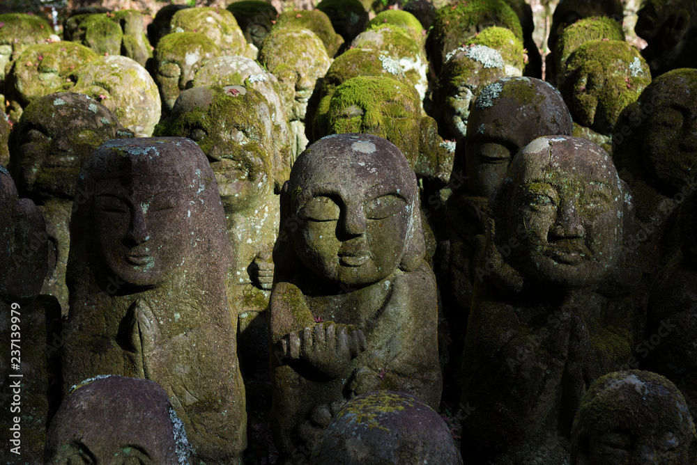 Row of Old Carved Buddha Statues in Dark Forest Setting in arashiyama, Kyoto, Japan Row of Old Carved Buddha Statues in Dark Forest Setting in arashiyama, Kyoto, Japan