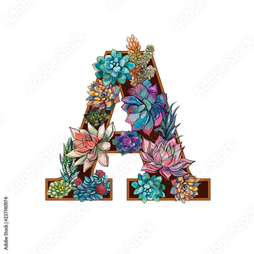 Letter A. Succulents. Alphabet Watercolor Graphics Vector illustration