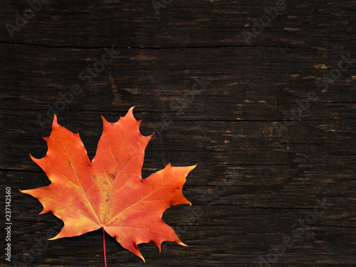 red maple leave on a wooden background