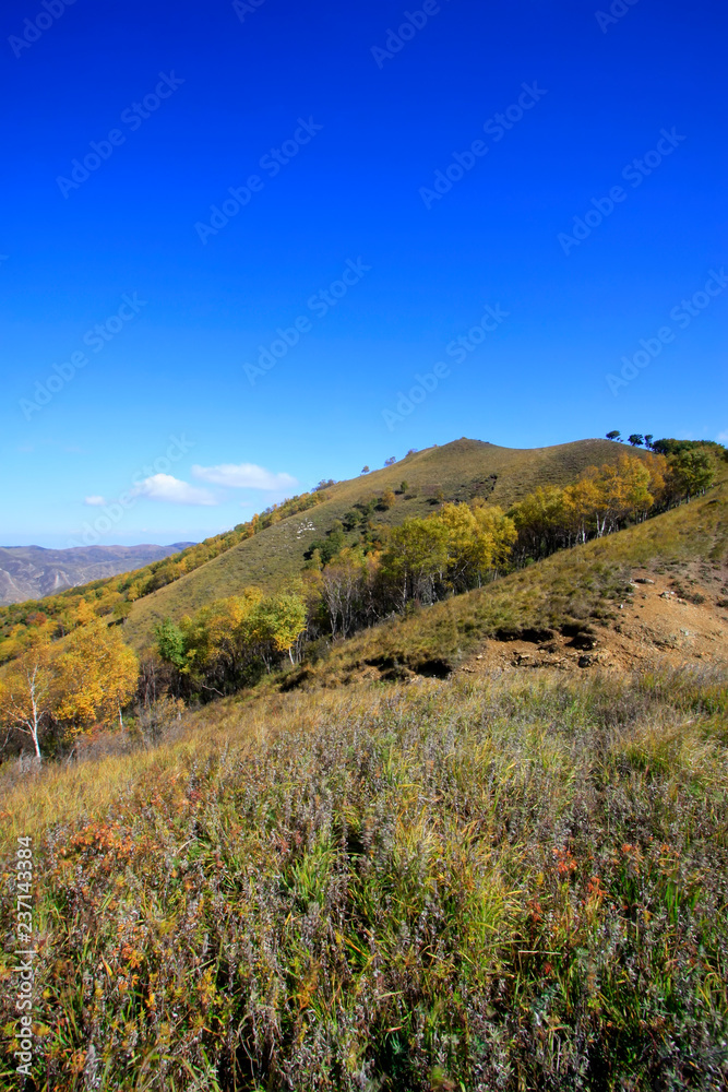 Fototapeta premium mountain natural scenery
