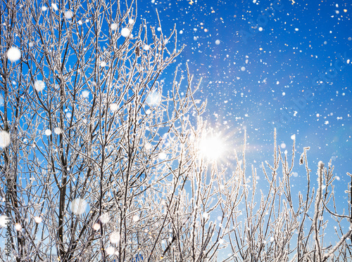winter landscape with forest, snow and blue sky