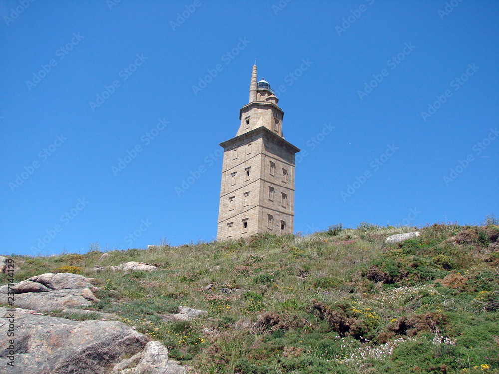 A look at the bottom of a lighthouse that rises on a green hill above the ocean on the background of a clear blue sky.