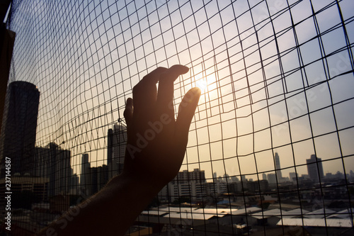 Schilderij op canvas silhouette hand holding on iron net cage with blue sky and city background sunse