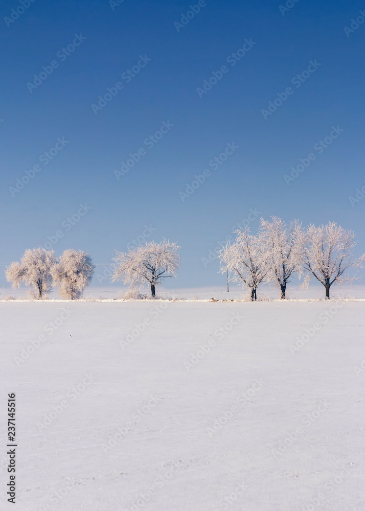Winter landscape with trees and blue sky Winter landscape with trees and blue sky