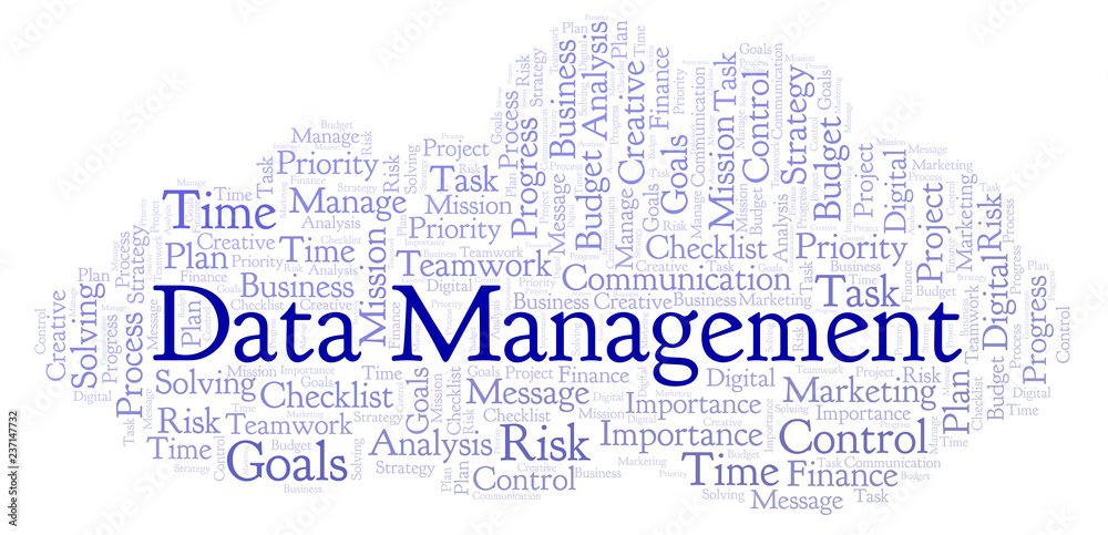 Fototapeta premium Data Management word cloud, made with text only.