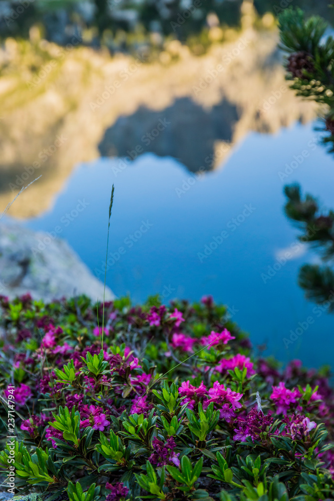 Obraz premium Summer in Aiguestortes and Sant Maurici National Park, Spain