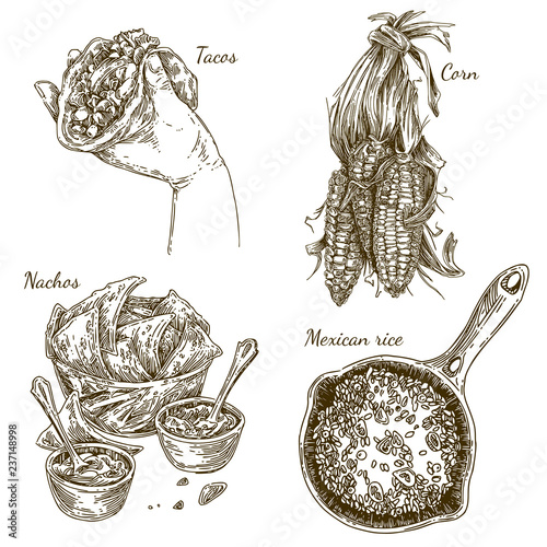 Set of mexican food. Corn on the cob, fried rice, nachos and fresh tacos. Sketch. Engraving style. Vector illustration.
