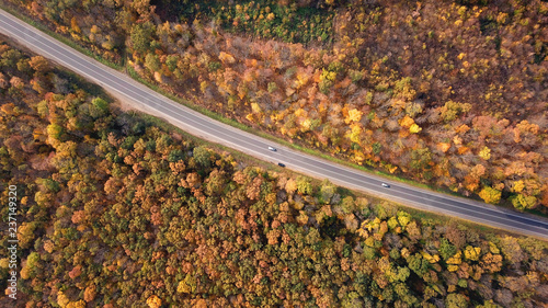 High angle view of a road trough the forest at the sunset with copy space