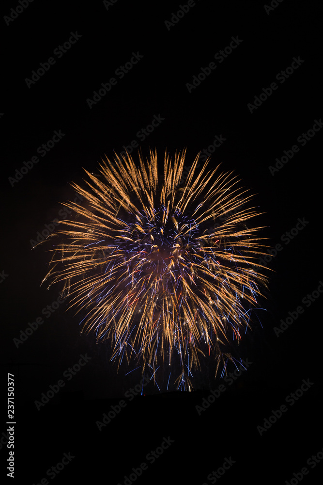 Gold and Blue Firework