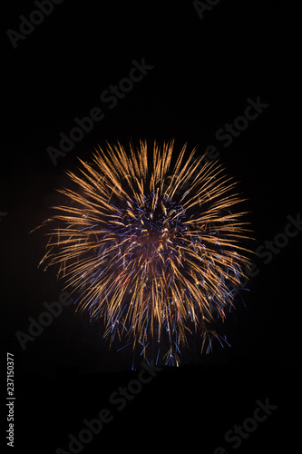 Gold and Blue Firework