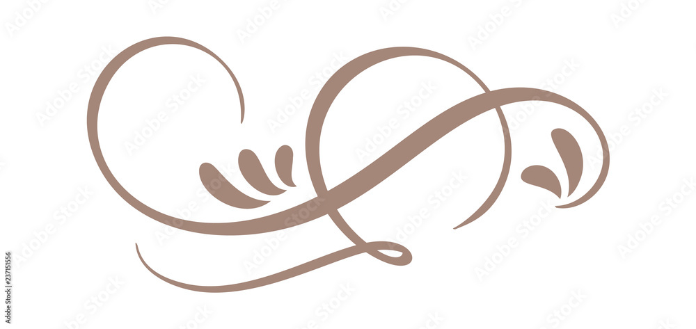 Hand Drawn Calligraphic Floral Spring Flourish Design Elements in style isolated on white background. Vector calligraphy and lettering illustration Hand Drawn Calligraphic Floral Spring Flourish Design Elements in style isolated on white background. Vector calligraphy and lettering illustration
