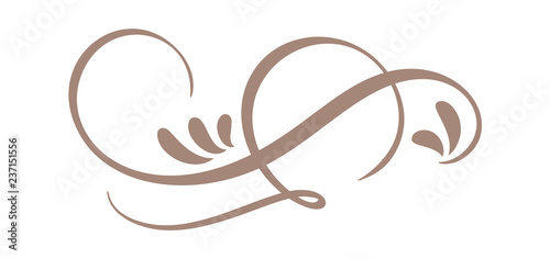Hand Drawn Calligraphic Floral Spring Flourish Design Elements in style isolated on white background. Vector calligraphy and lettering illustration